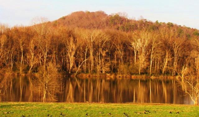 Little River Guest House At Tennessee Riverplace Чаттануґа Екстер'єр фото
